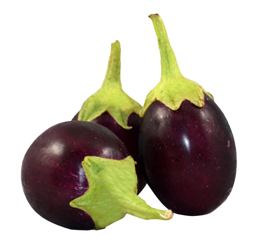 Fresh Eggplantson Neutral Background PNG