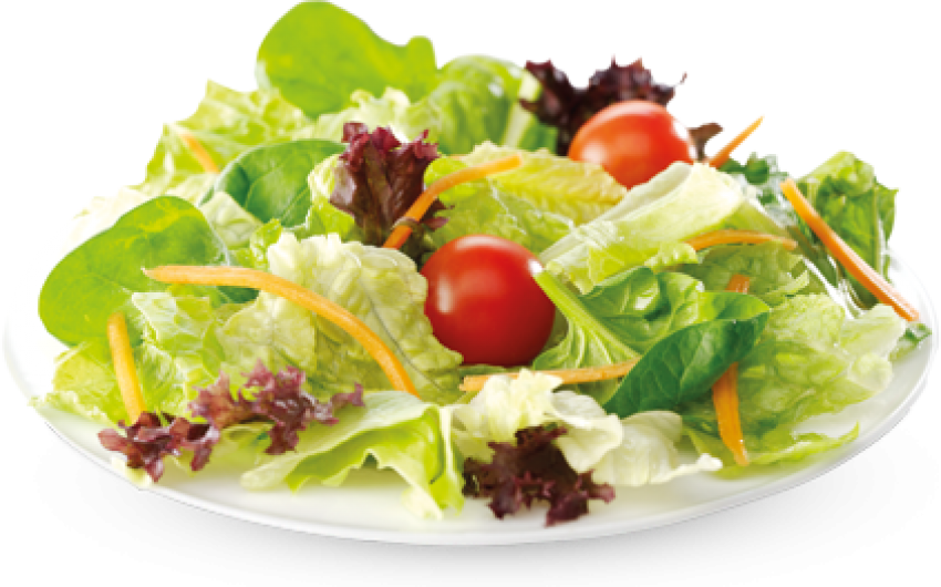 Fresh Garden Salad Plate PNG