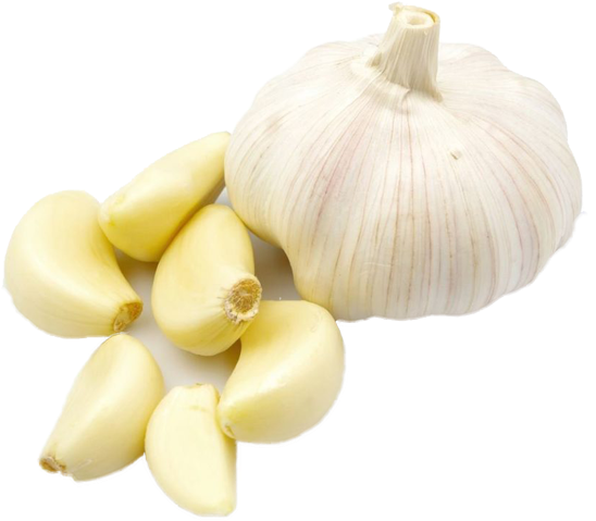 Fresh Garlic Bulband Cloves.png PNG