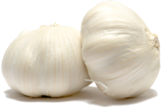 Fresh Garlic Bulbs PNG