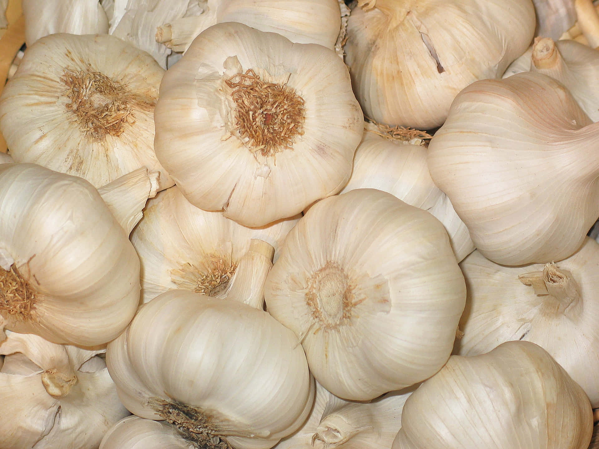 Fresh Garlic Bulbs Texture Wallpaper