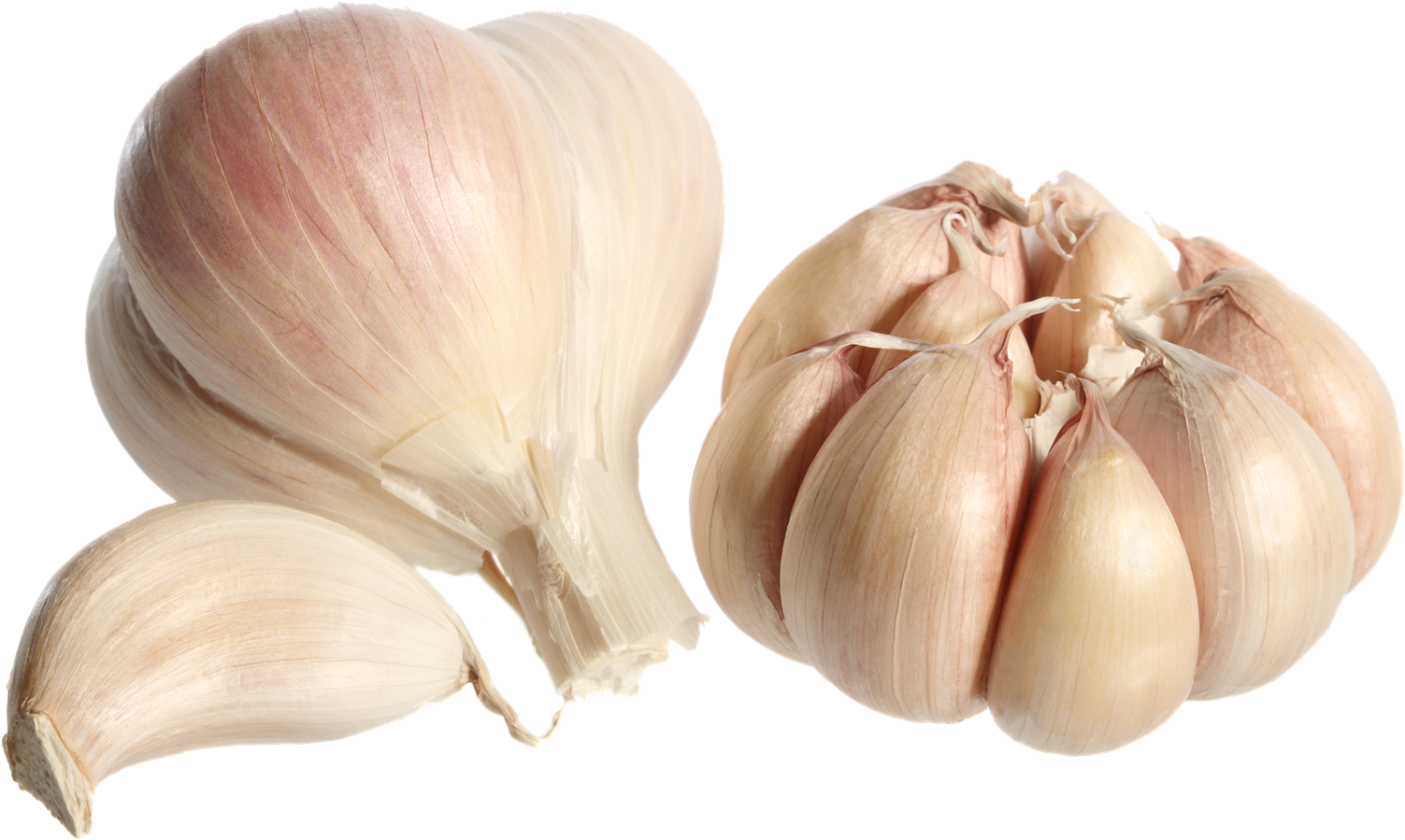 Fresh Garlic Bulbsand Cloves PNG