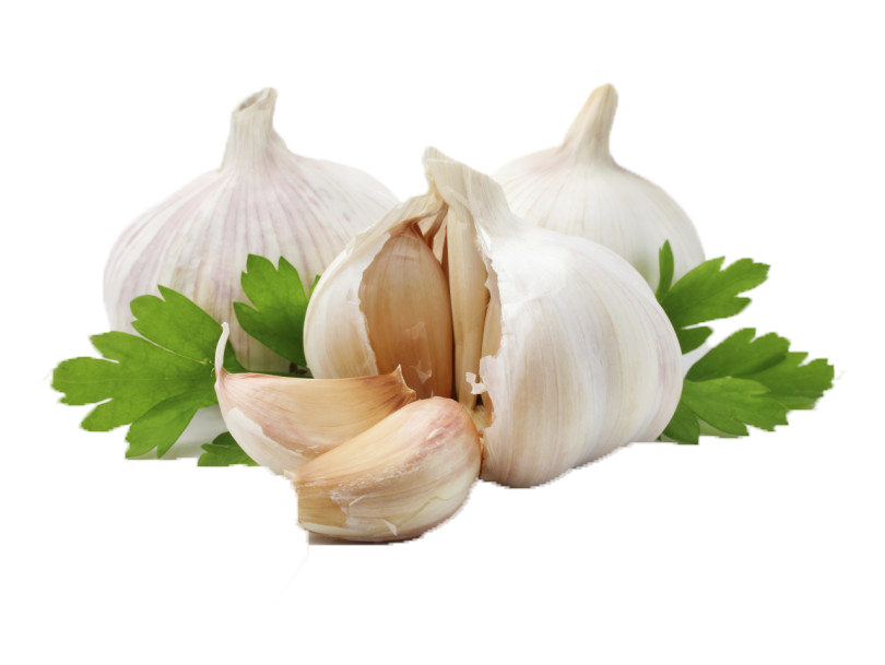 Fresh Garlic Bulbswith Parsley Leaves.png PNG