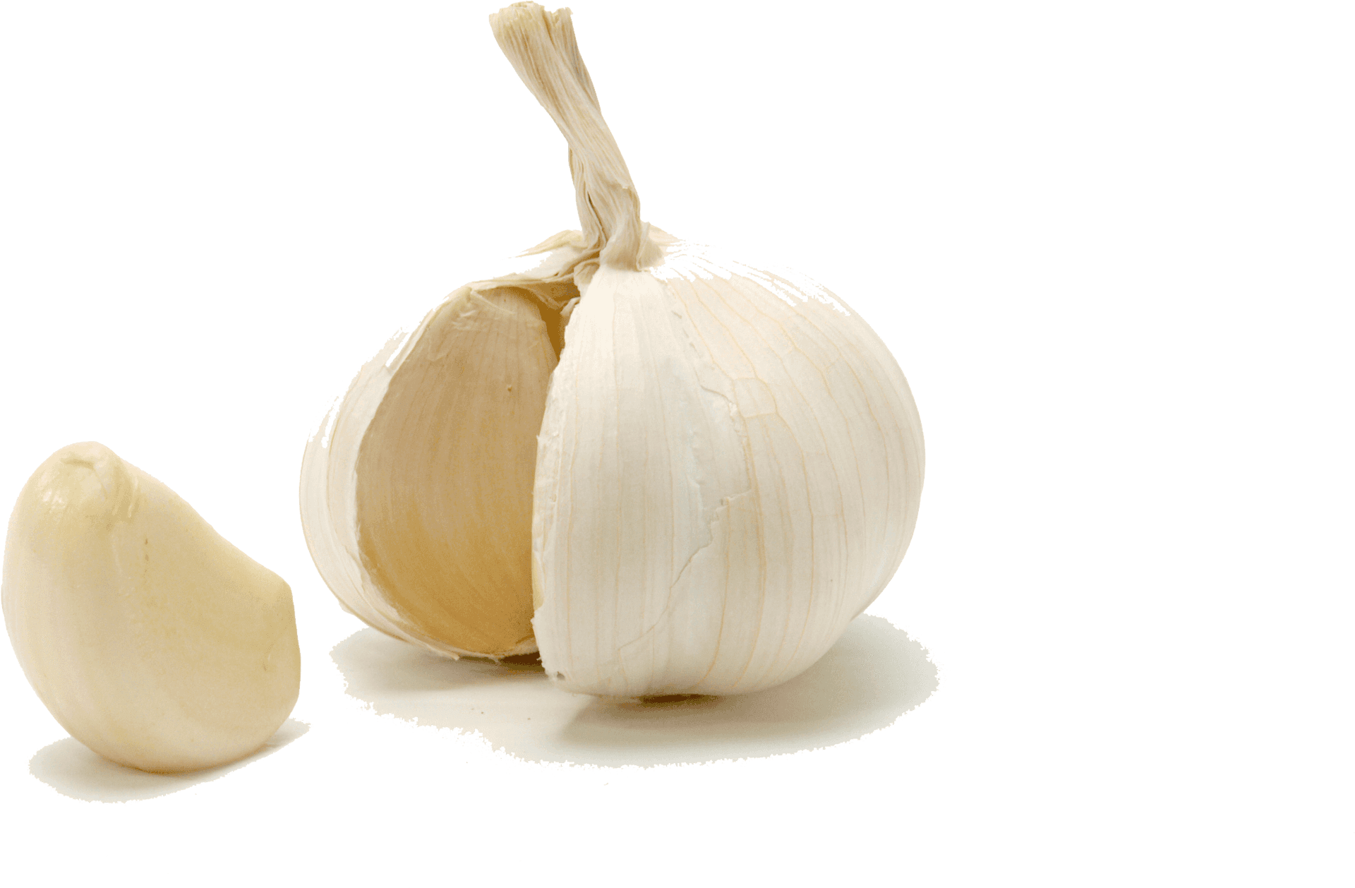 Fresh Garlic Cloveand Bulb PNG