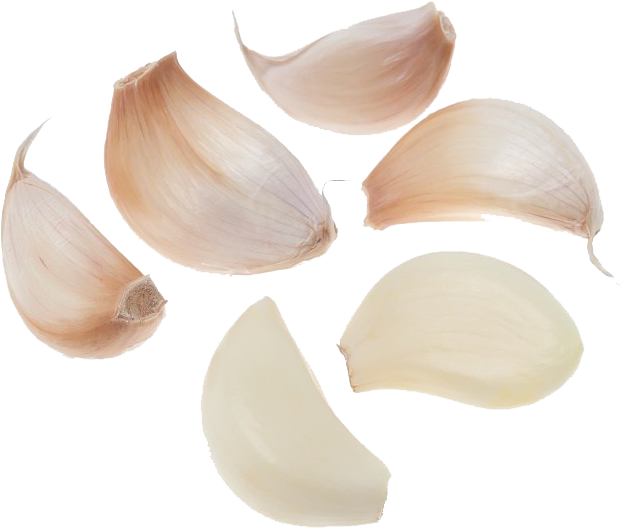 Fresh Garlic Cloves Isolated PNG