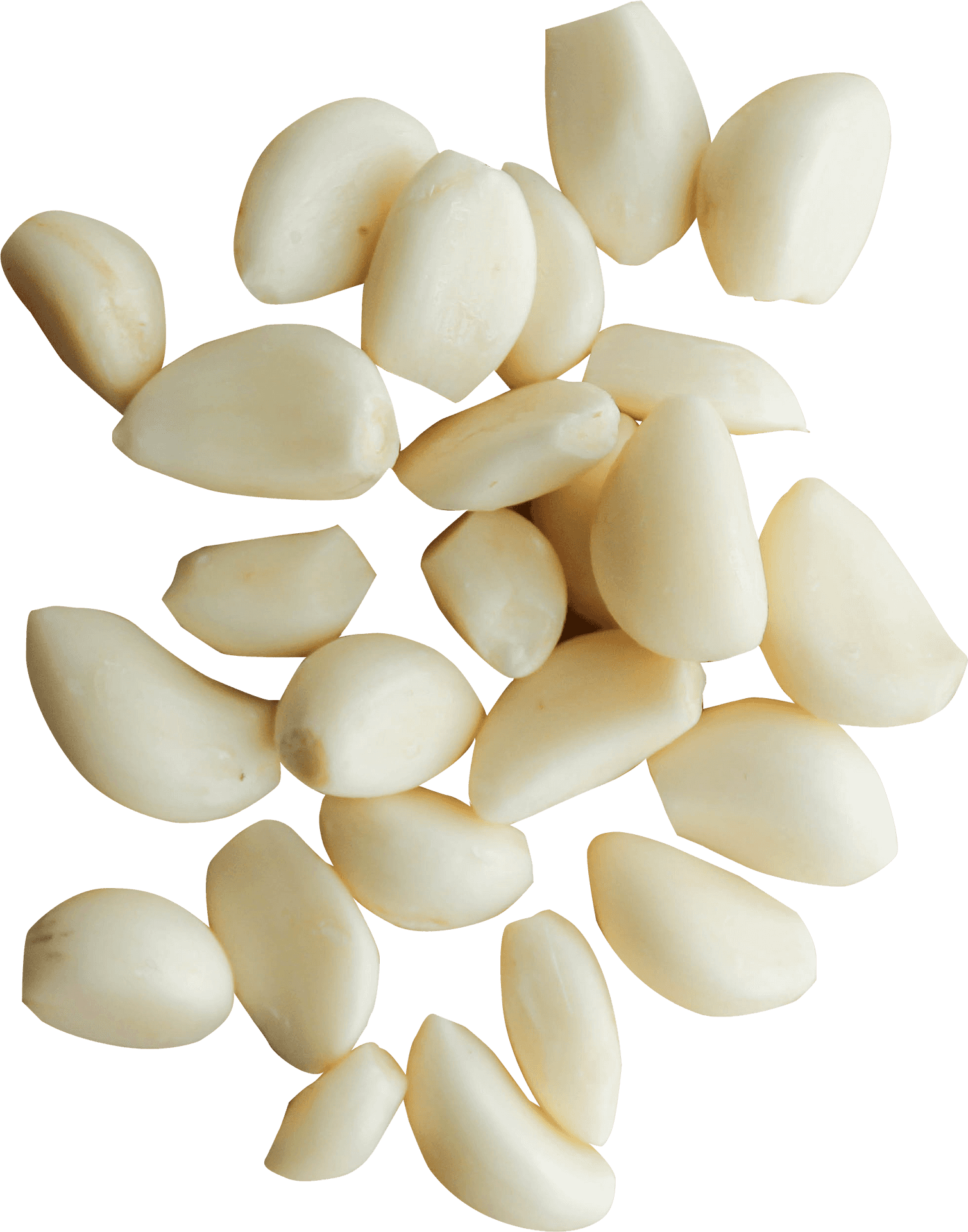 Fresh Garlic Cloves Isolated PNG