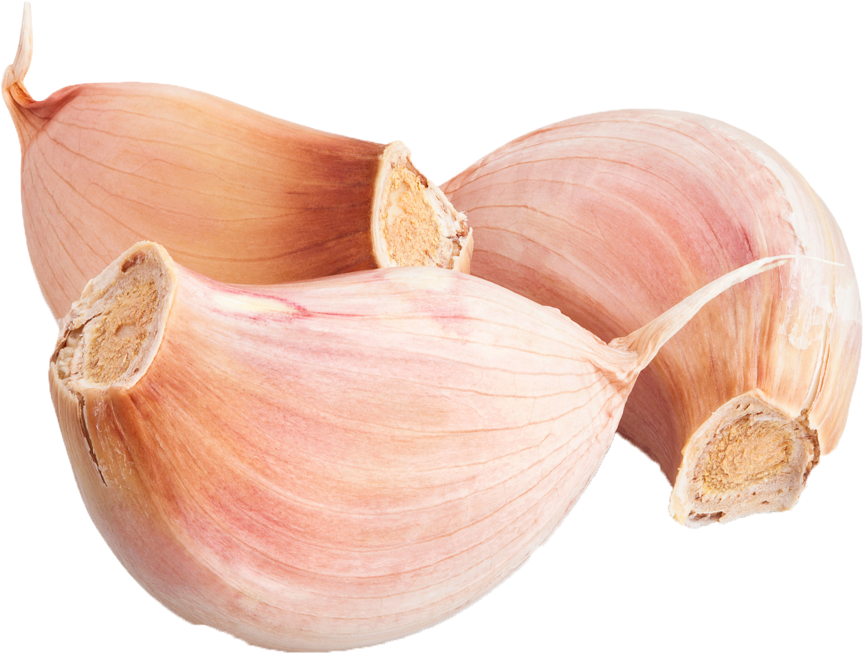 Fresh Garlic Cloves Transparent Background PNG