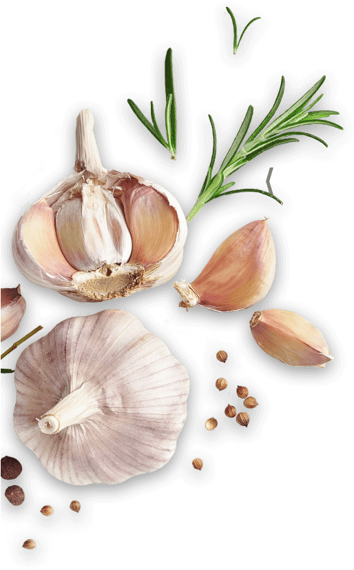 Fresh Garlicand Cloves Illustration PNG