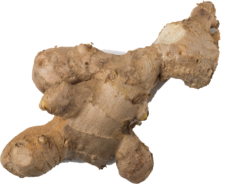 Fresh Ginger Root PNG