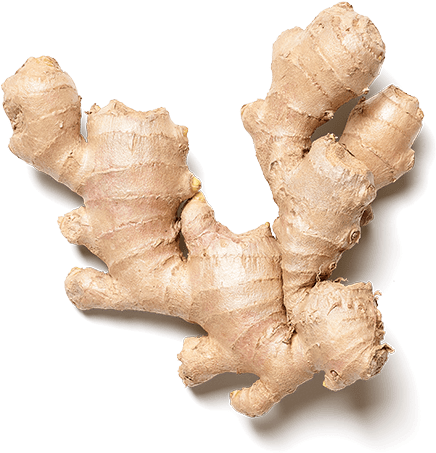 Fresh Ginger Root PNG