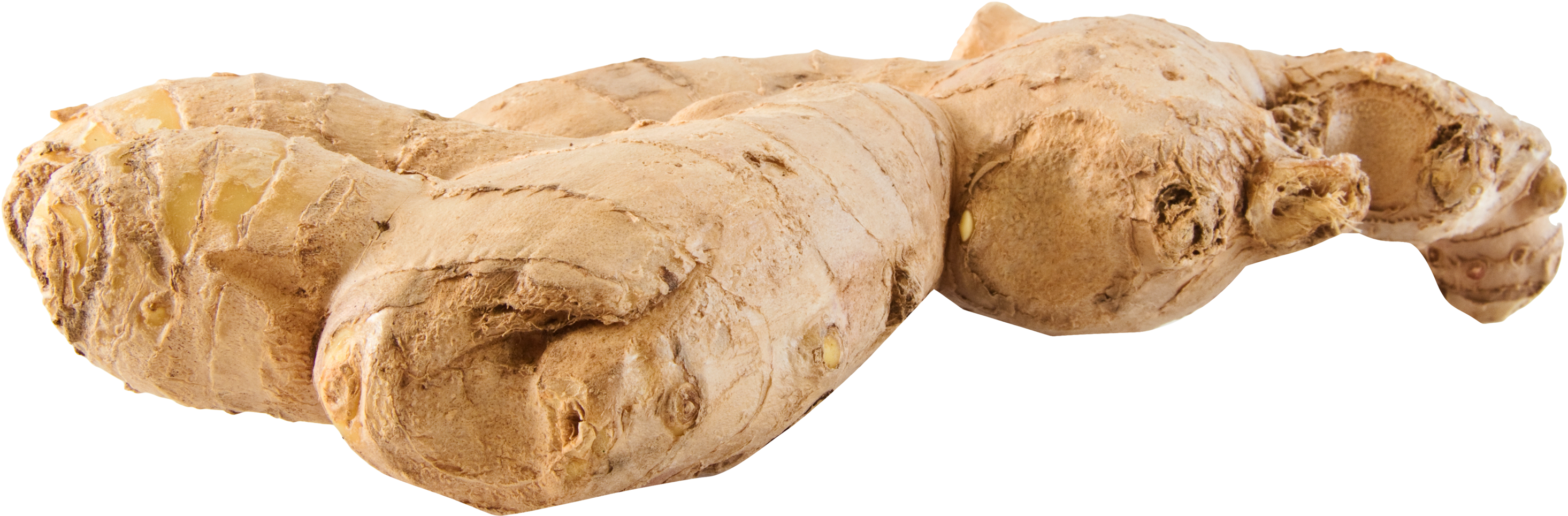 Fresh Ginger Root Isolated PNG — A single fresh ginger root with knobby beige skin and visible nodes rests against a stark black background.