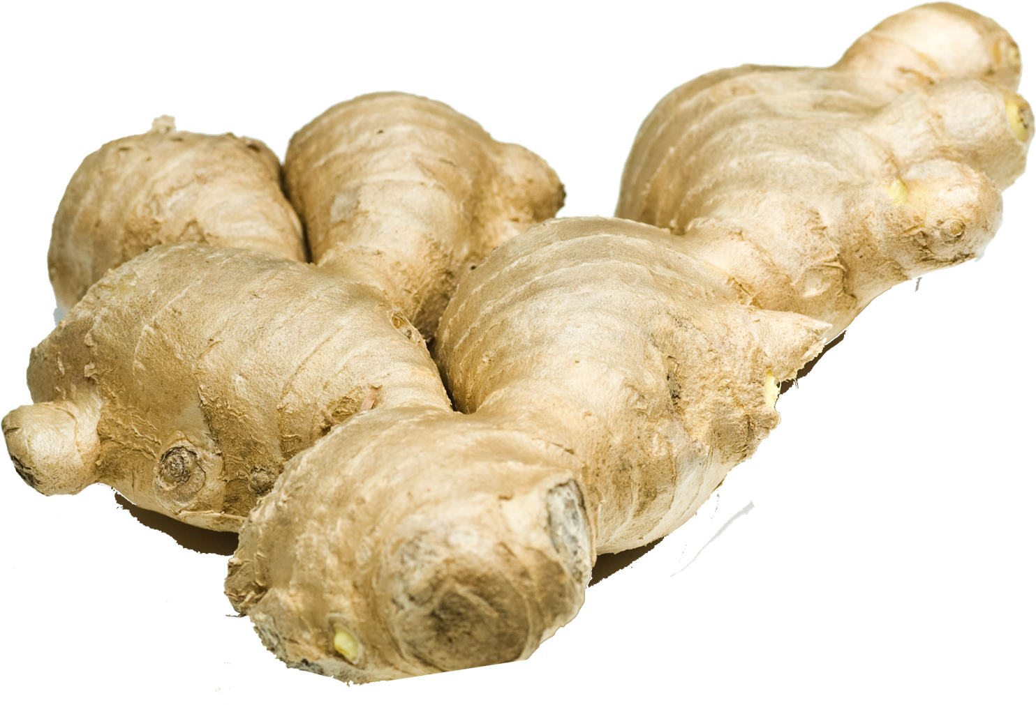 Fresh Ginger Root Isolated.png PNG