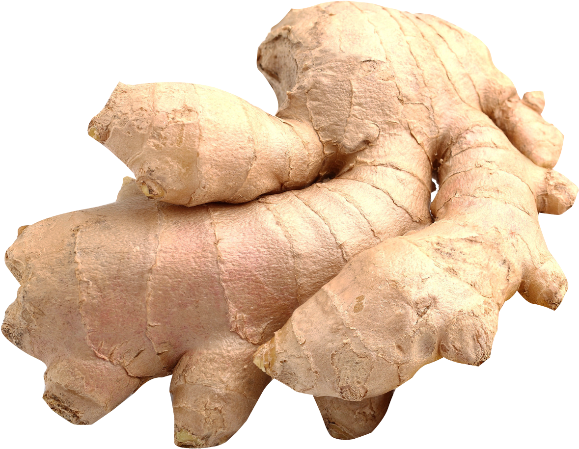 Fresh Ginger Root PNG