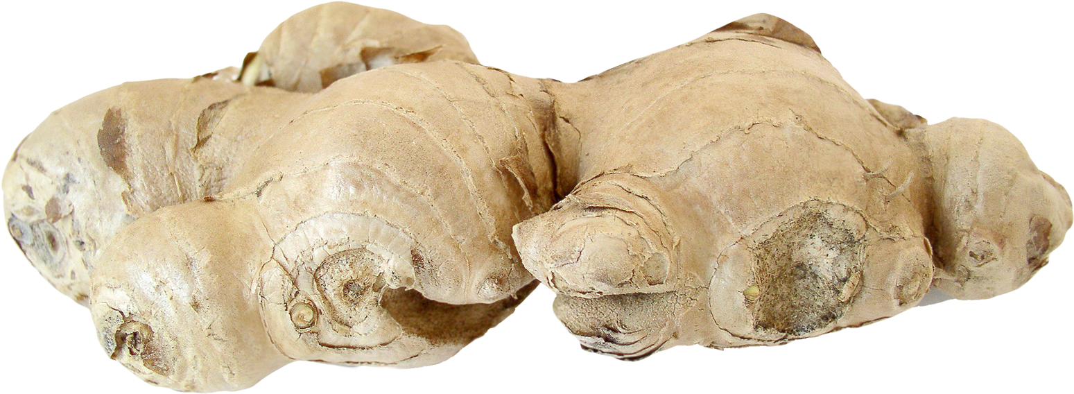 Fresh Ginger Root PNG