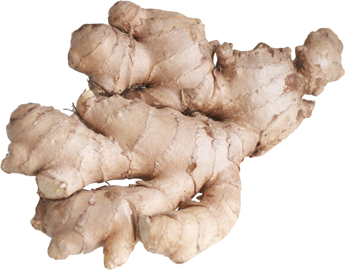 Fresh Ginger Root PNG