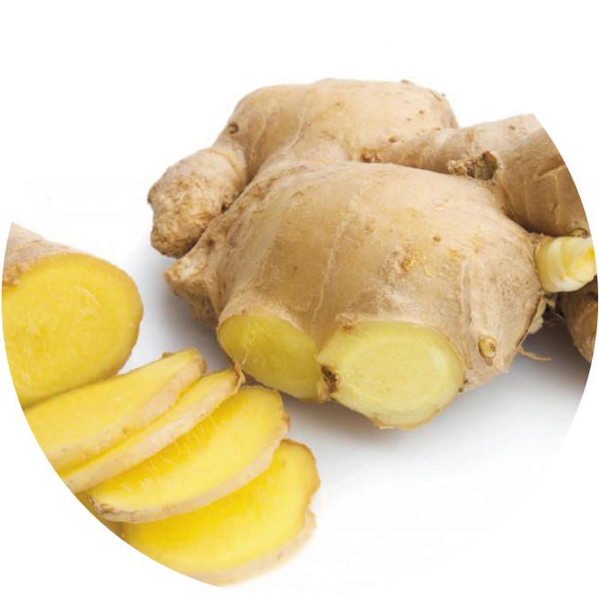 Fresh Ginger Rootand Slices.png PNG