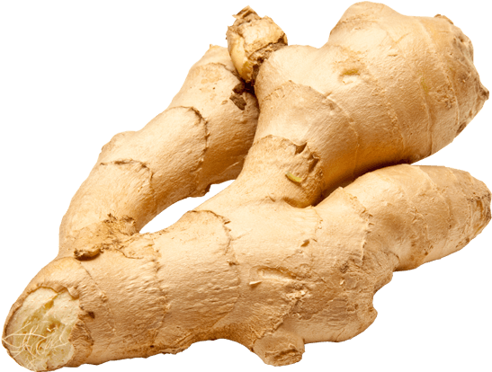 Fresh Ginger Roots PNG