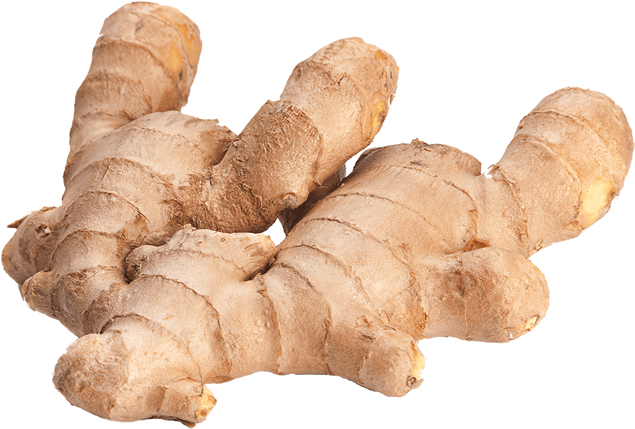 Fresh Ginger Roots PNG