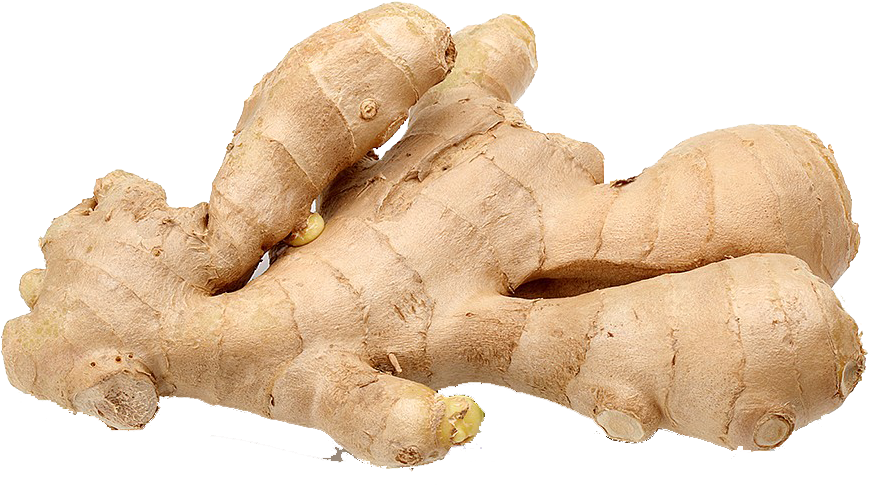 Fresh Ginger Roots PNG