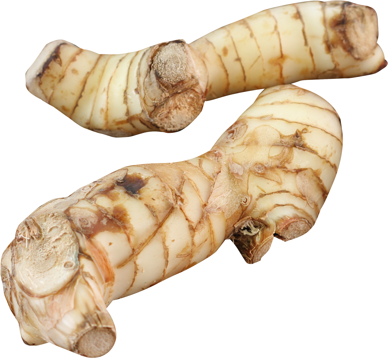 Fresh Ginger Roots Isolated PNG