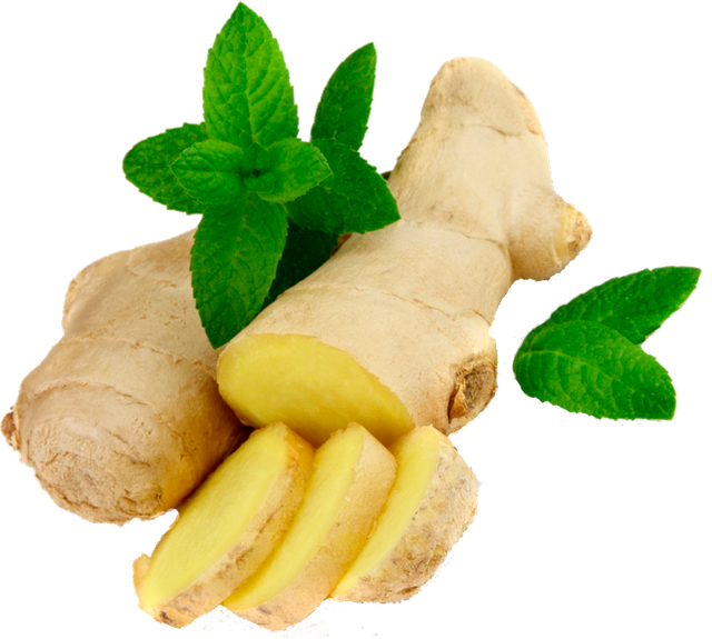 Fresh Ginger Rootwith Mint Leaves PNG
