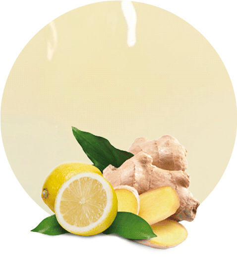 Fresh Gingerand Lemon Slices PNG