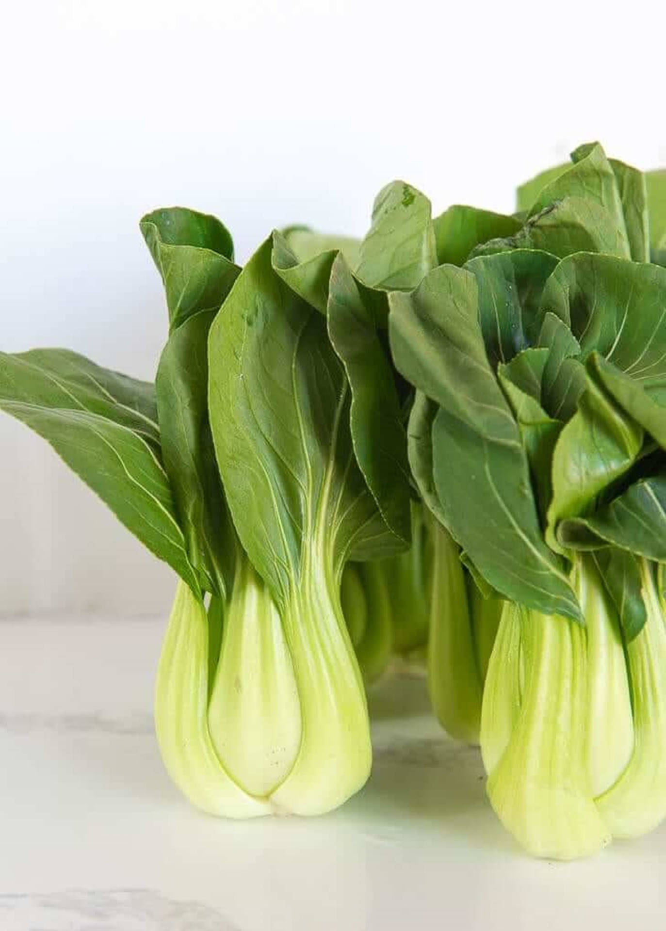 Fresh Glossy Bok Choy Cabbages Wallpaper