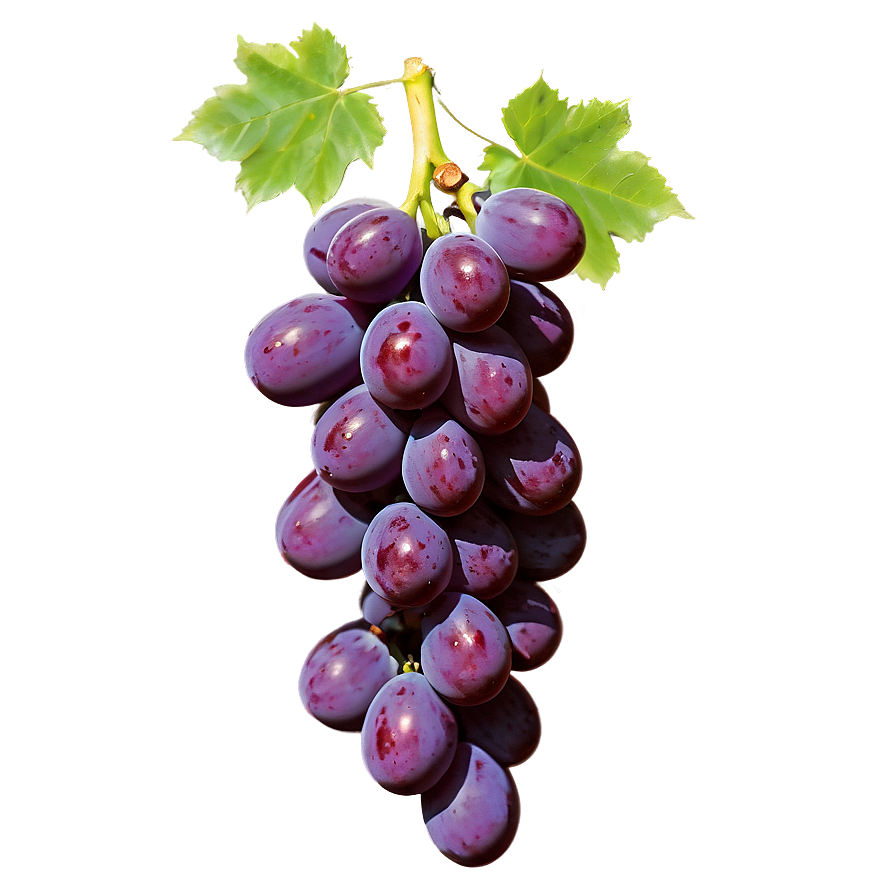 Fresh Grape Cluster Png Sce98 PNG