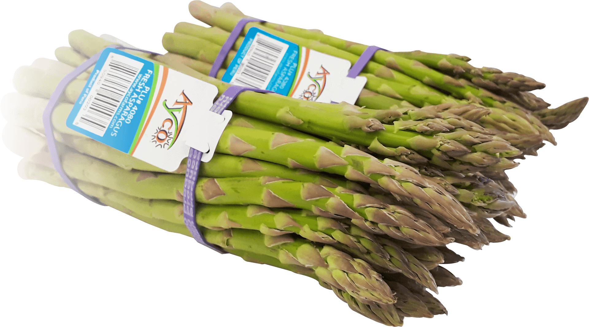 Download Fresh Green Asparagus Bunches | Wallpapers.com