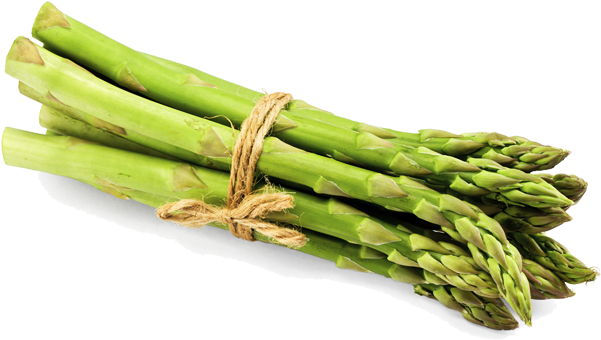 Fresh Green Asparagus Bundle PNG