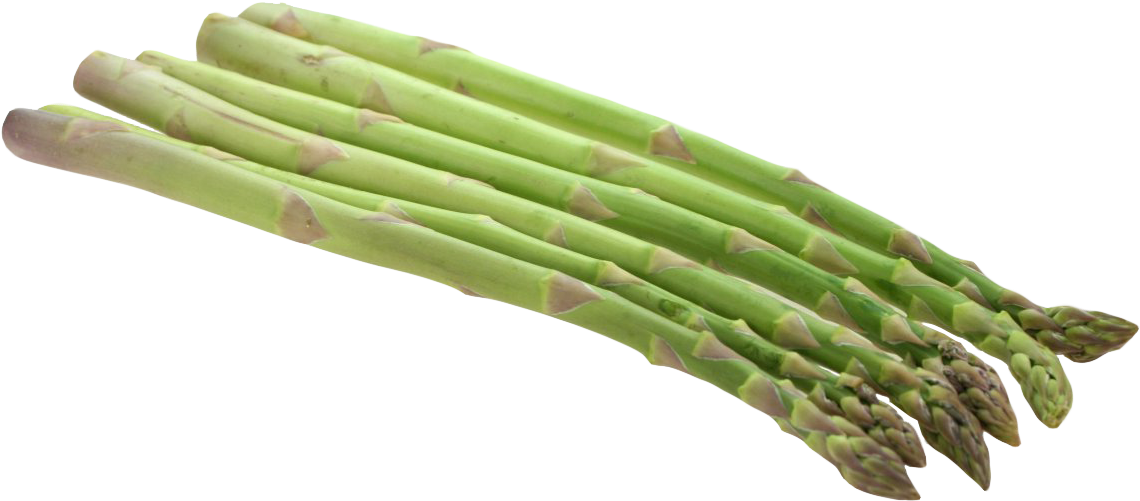Fresh Green Asparagus Bundle.png PNG
