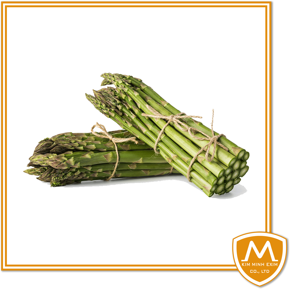 Fresh Green Asparagus Bundles PNG