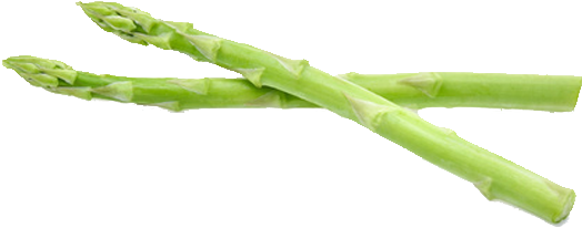 Fresh Green Asparagus Stalks PNG