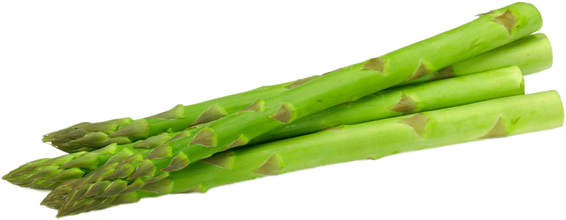 Fresh Green Asparagus Stalks.png PNG