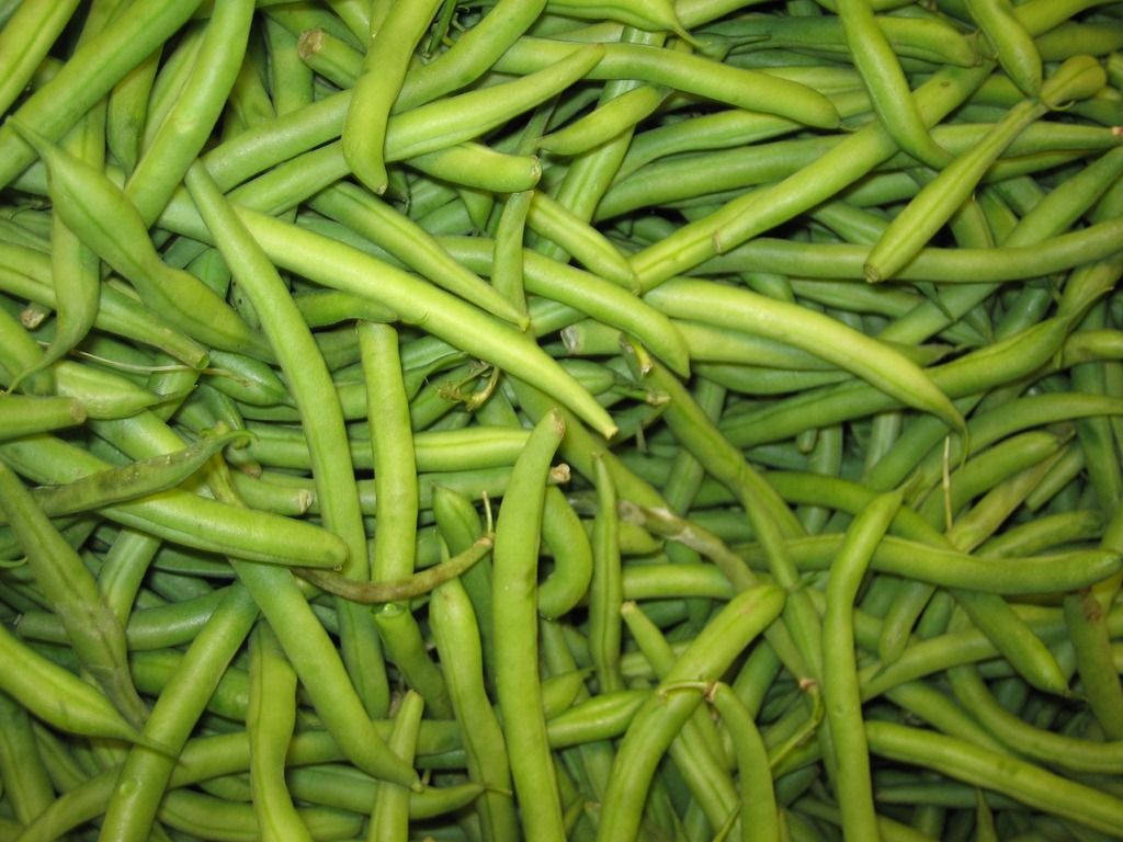 Fresh Green Beans Assorted Wallpaper