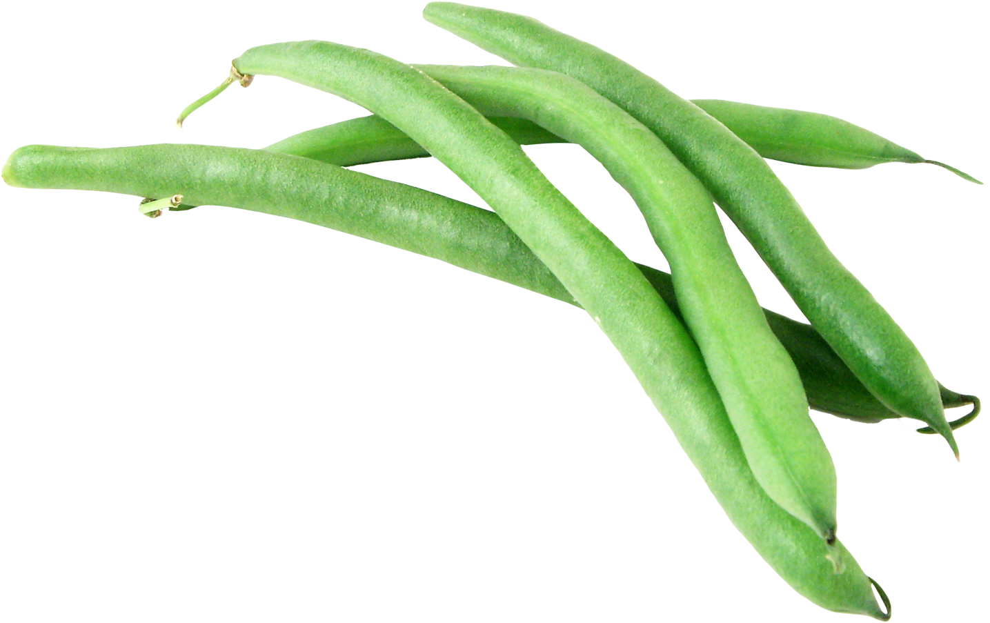 Fresh Green Beans Isolated PNG