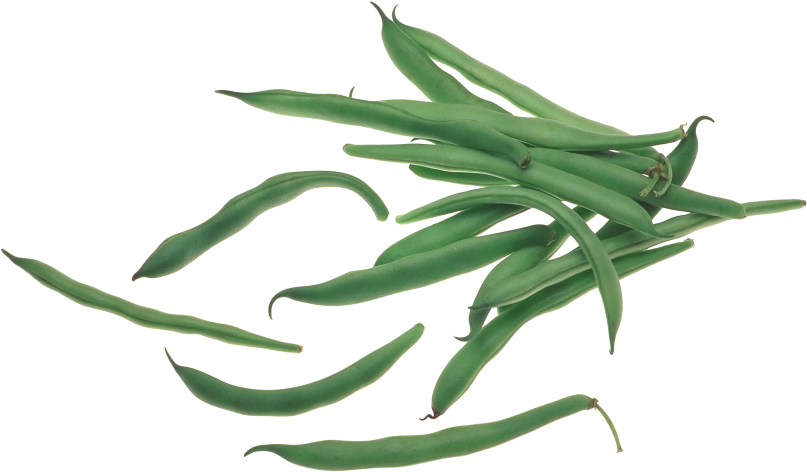 Fresh Green Beans Isolated PNG
