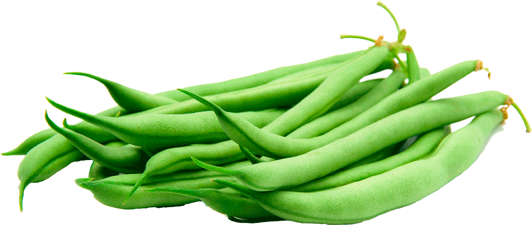 Fresh Green Beans P N G Image PNG