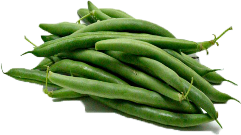 Fresh Green Beans P N G Transparent Background PNG