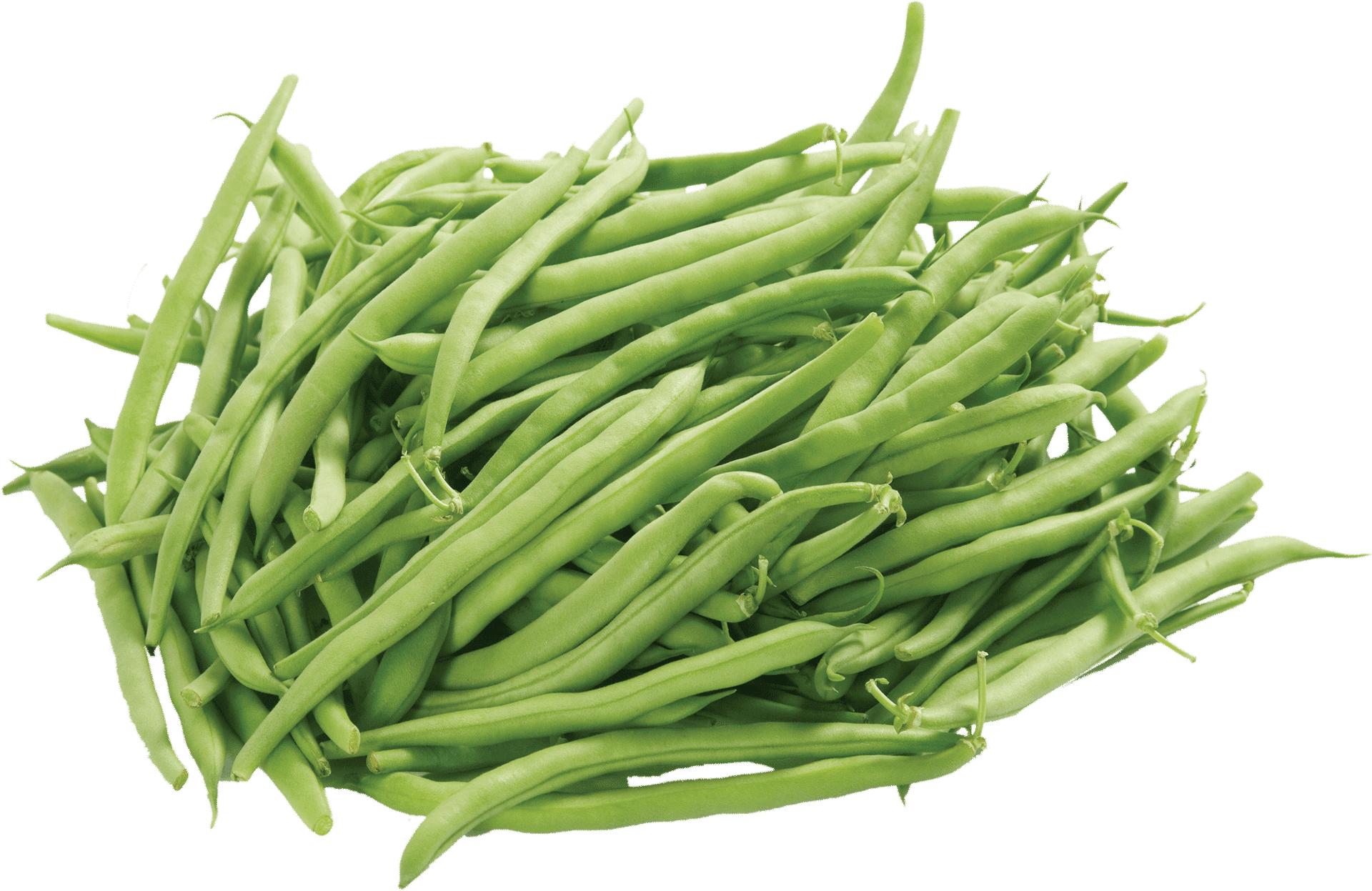 Fresh Green Beans Pile.png PNG