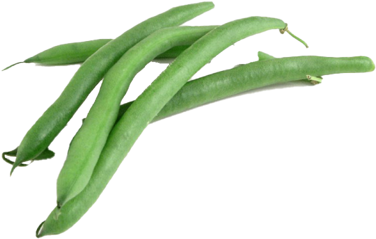 Fresh Green Beans Transparent Background PNG