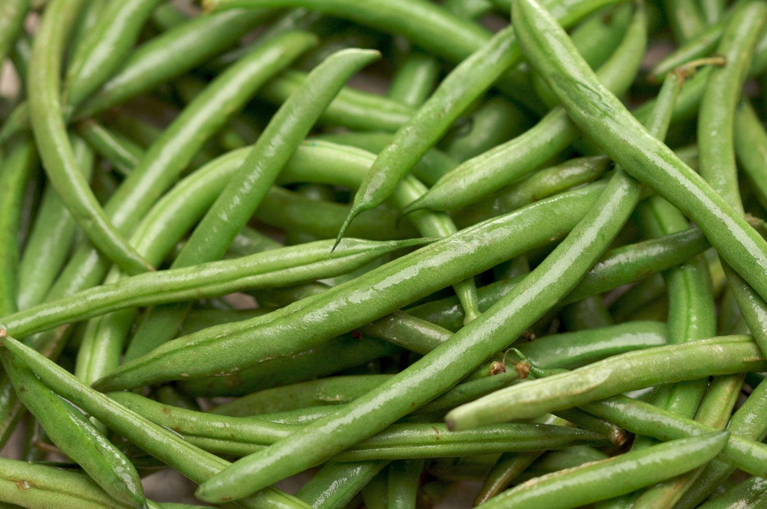 Fresh Green Beans Vegetables Wallpaper