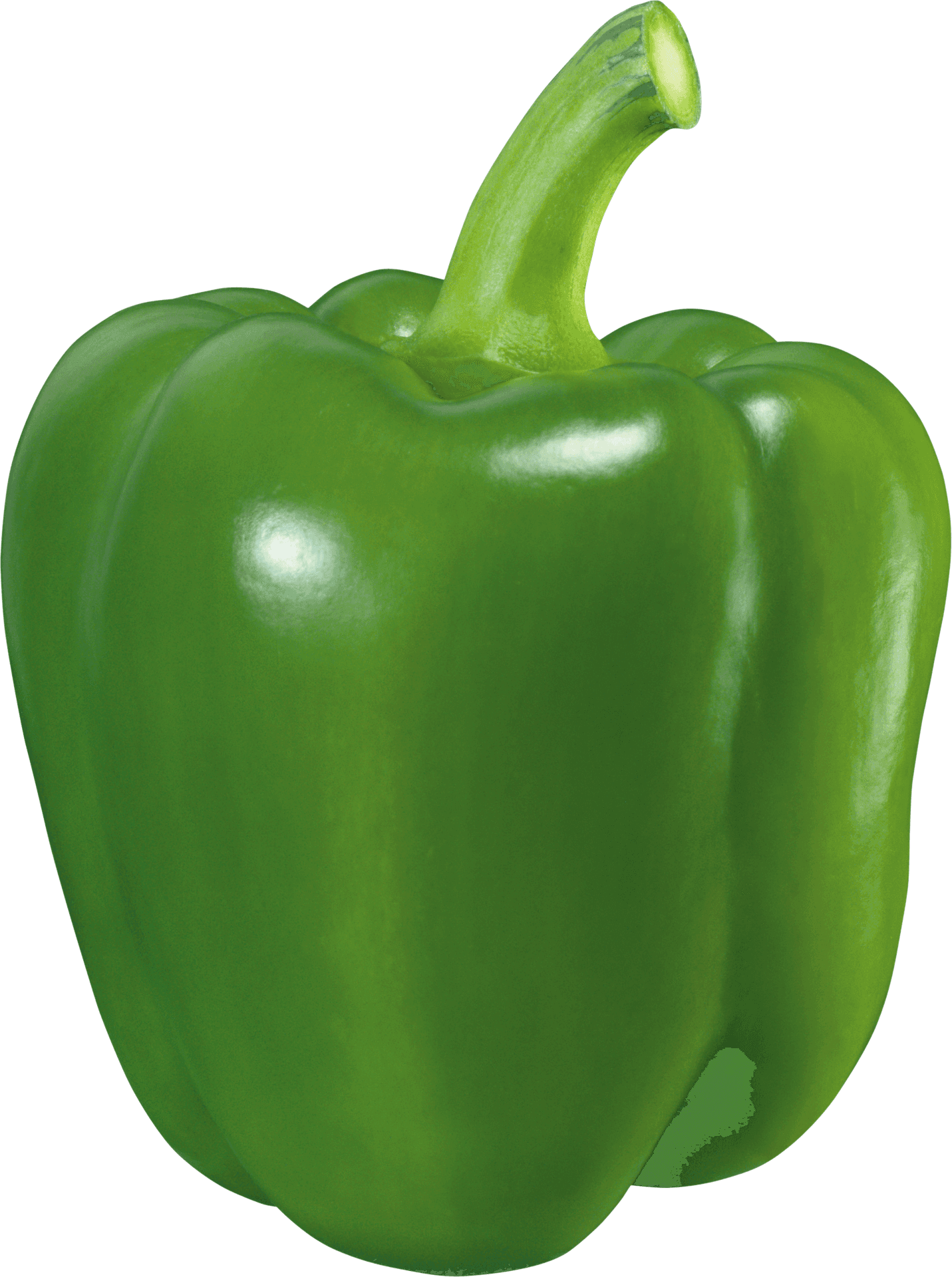 Fresh Green Bell Pepper PNG