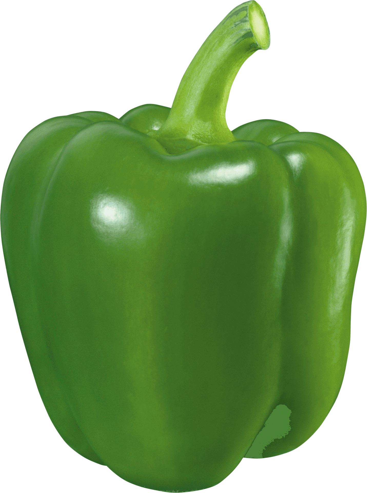 Download Fresh Green Bell Pepper 