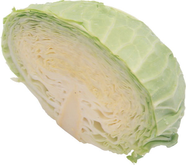 Fresh Green Cabbage Half Cut Transparent Background PNG
