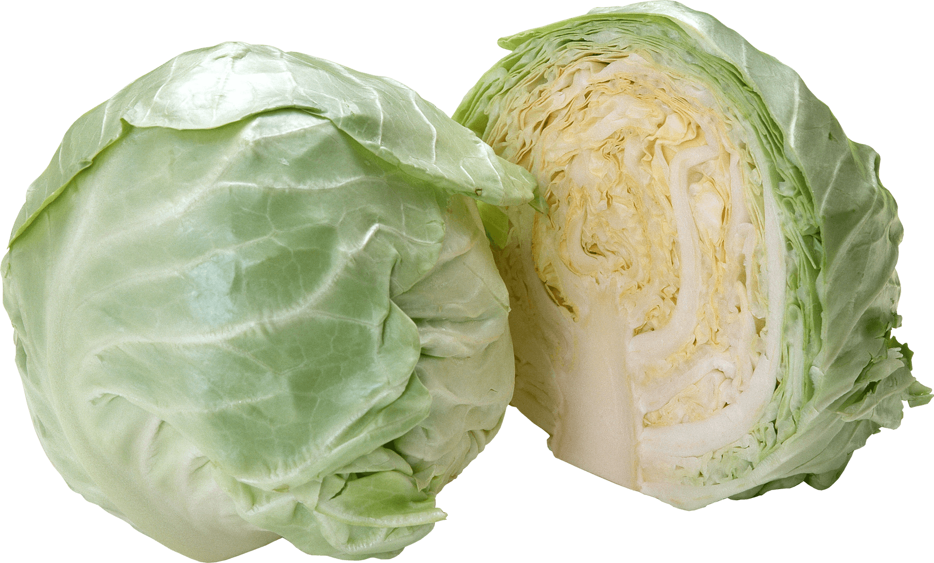 Fresh Green Cabbage Halfand Whole PNG