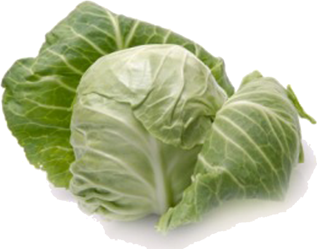 Fresh Green Cabbage Isolated PNG