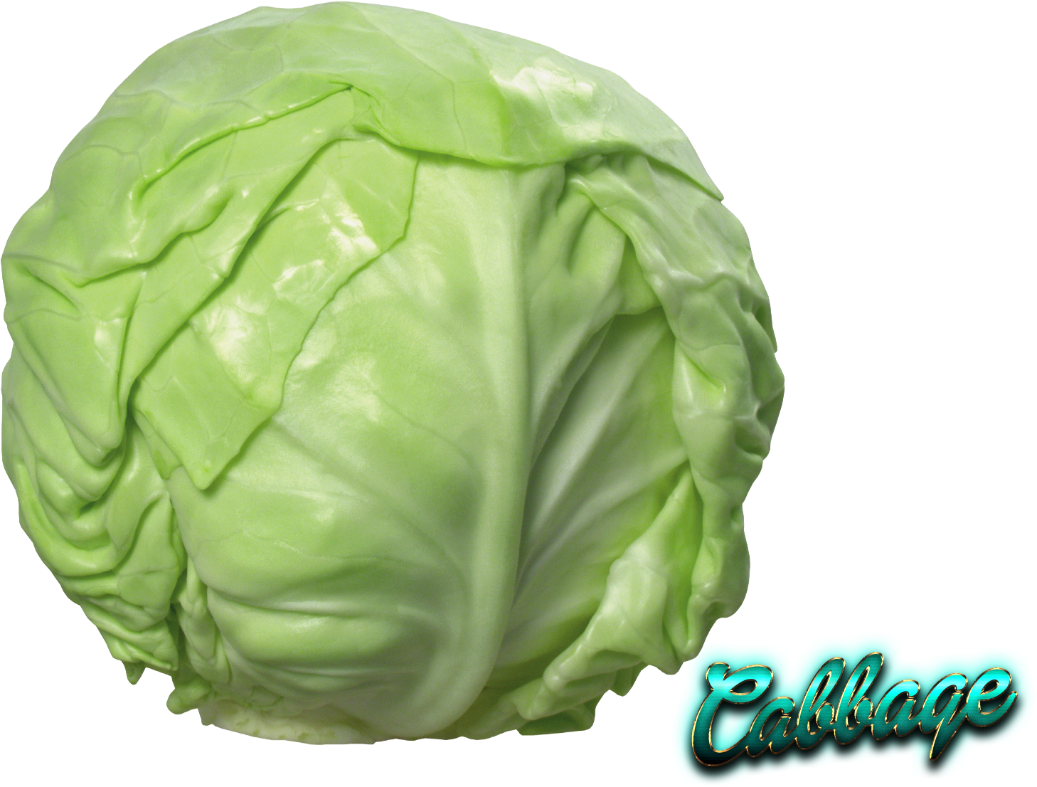 Fresh Green Cabbage PNG