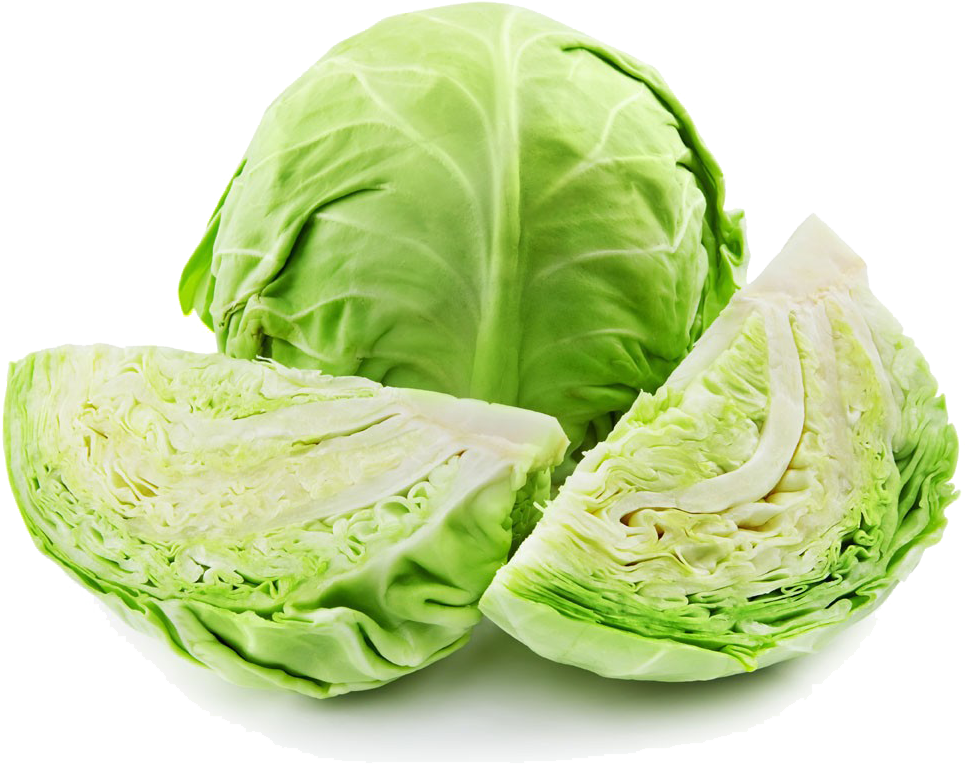 Fresh Green Cabbageand Cut Wedges PNG