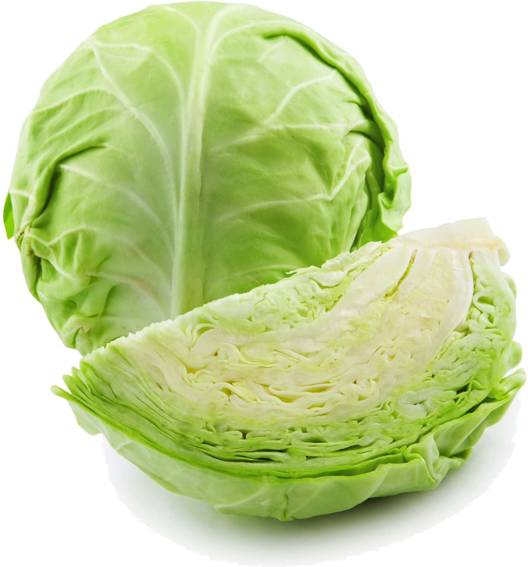 Fresh Green Cabbagewith Cut Section.png PNG